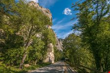 furlo_726587785