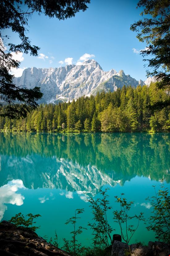 Fusine_37023799-min.jpeg Fusine_37023799-min.jpeg  