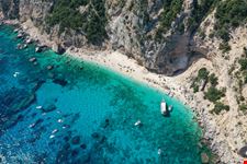 Gabbiani_1800065494