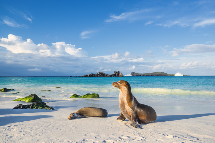 galapagos_cosa_visitare