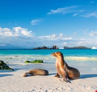 galapagos_cosa_visitare galapagos_cosa_visitare