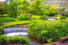 giardini di ninfa_1397676404