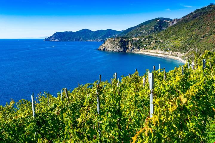 golfo paradiso liguria_2036986574