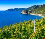 golfo paradiso liguria_2036986574 golfo paradiso liguria_2036986574