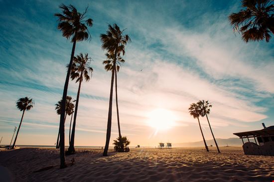  Los Angeles  Guillaume Bassem