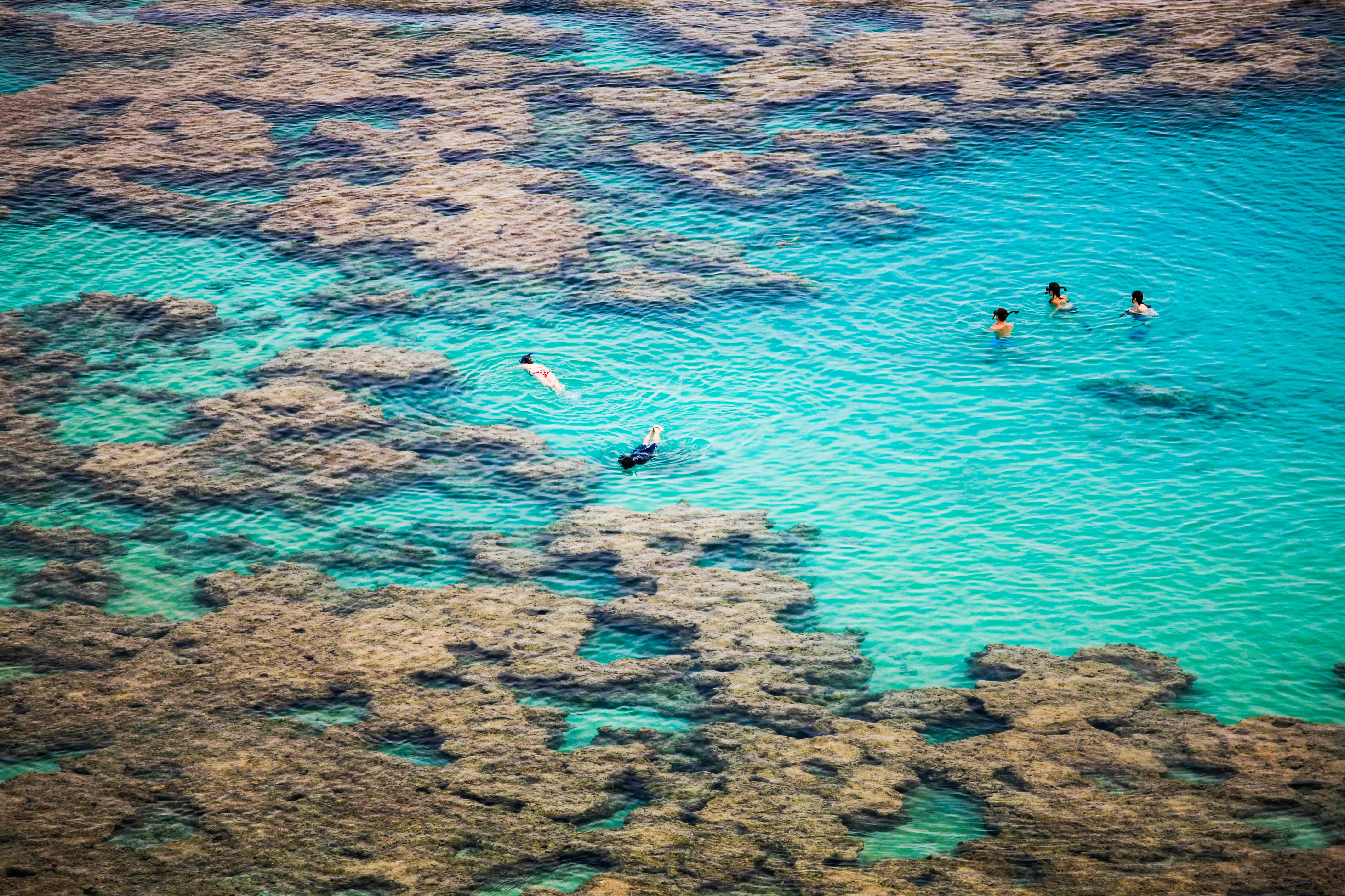 Hanauma_242290166-min.jpeg