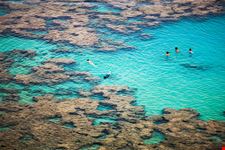 Hanauma_242290166-min.jpeg