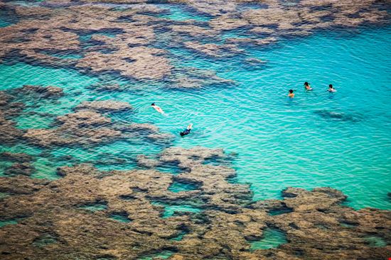 Hanauma_242290166-min.jpeg Hanauma_242290166-min.jpeg  