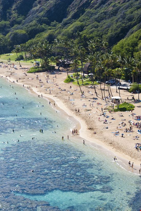 Hanauma_28571471-min.jpeg Hanauma_28571471-min.jpeg  