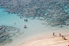 Hanauma_341017217-min.jpeg