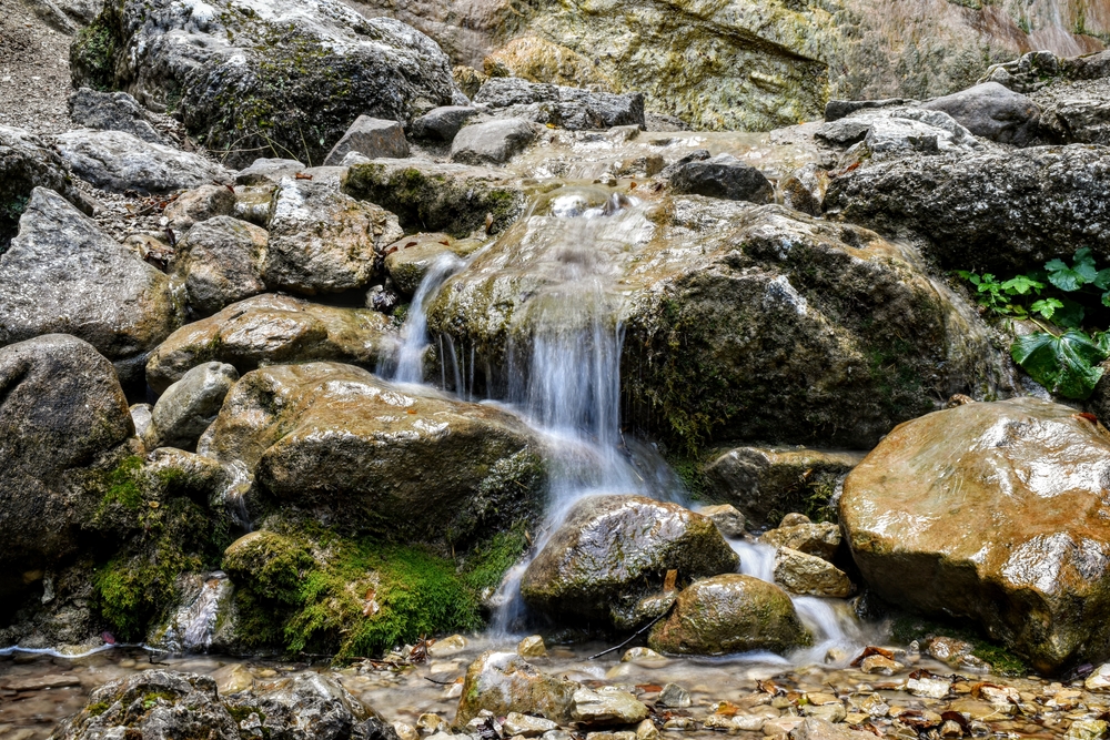 Hofentol_2055118484