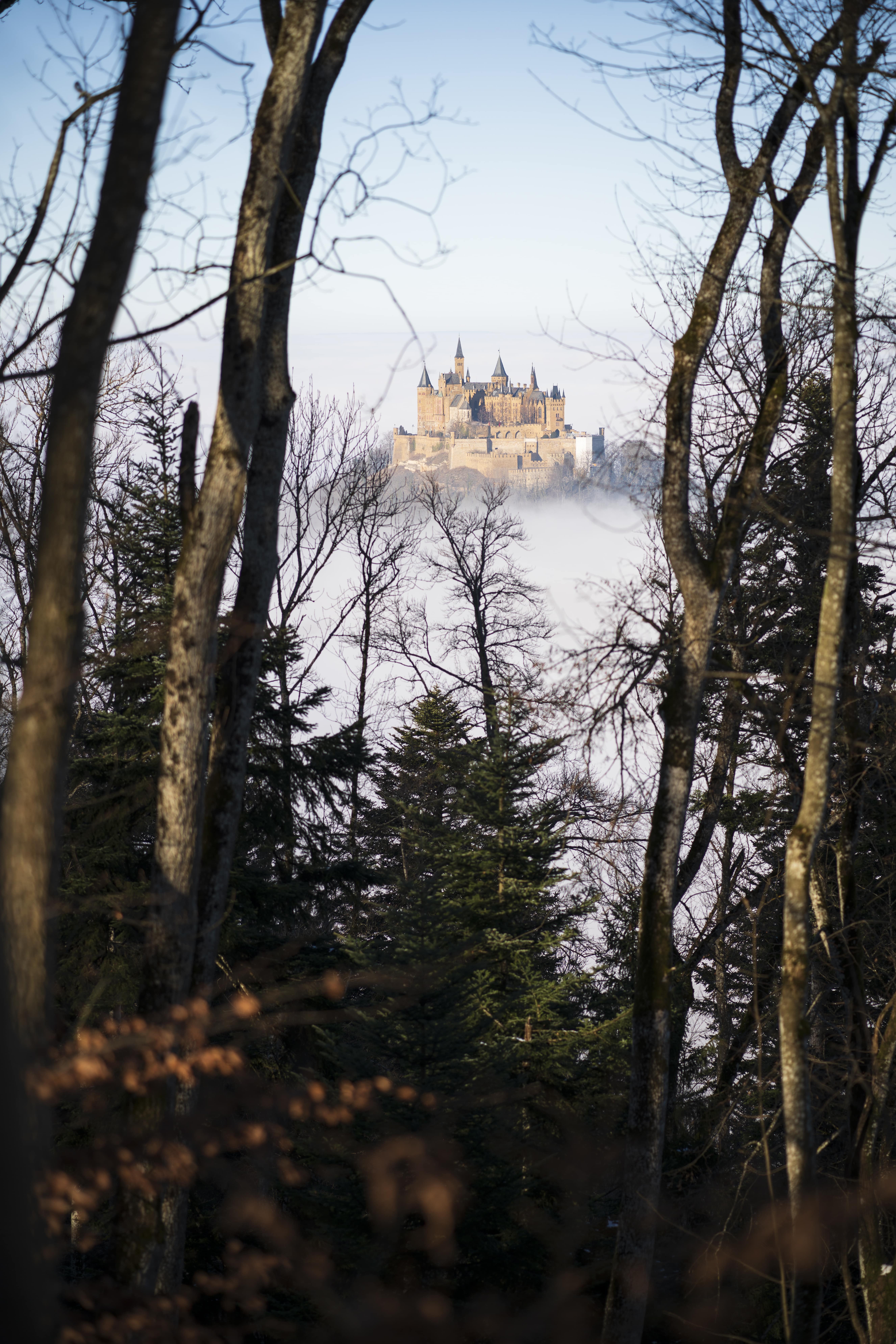 Hohenzollern_348605920-min.jpeg