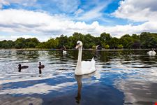 Hyde Park Londra_150038477