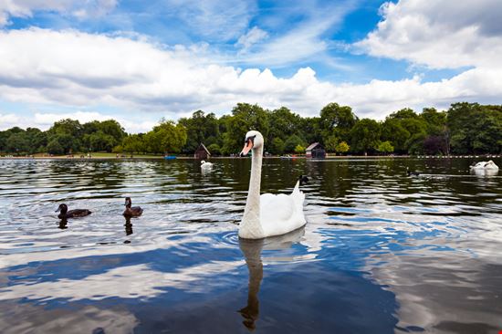 Hyde Park London  