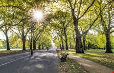 Hyde Park Londra_532076563