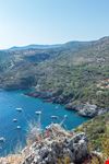 Infreschi_1075884713