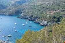 Infreschi_1075884833