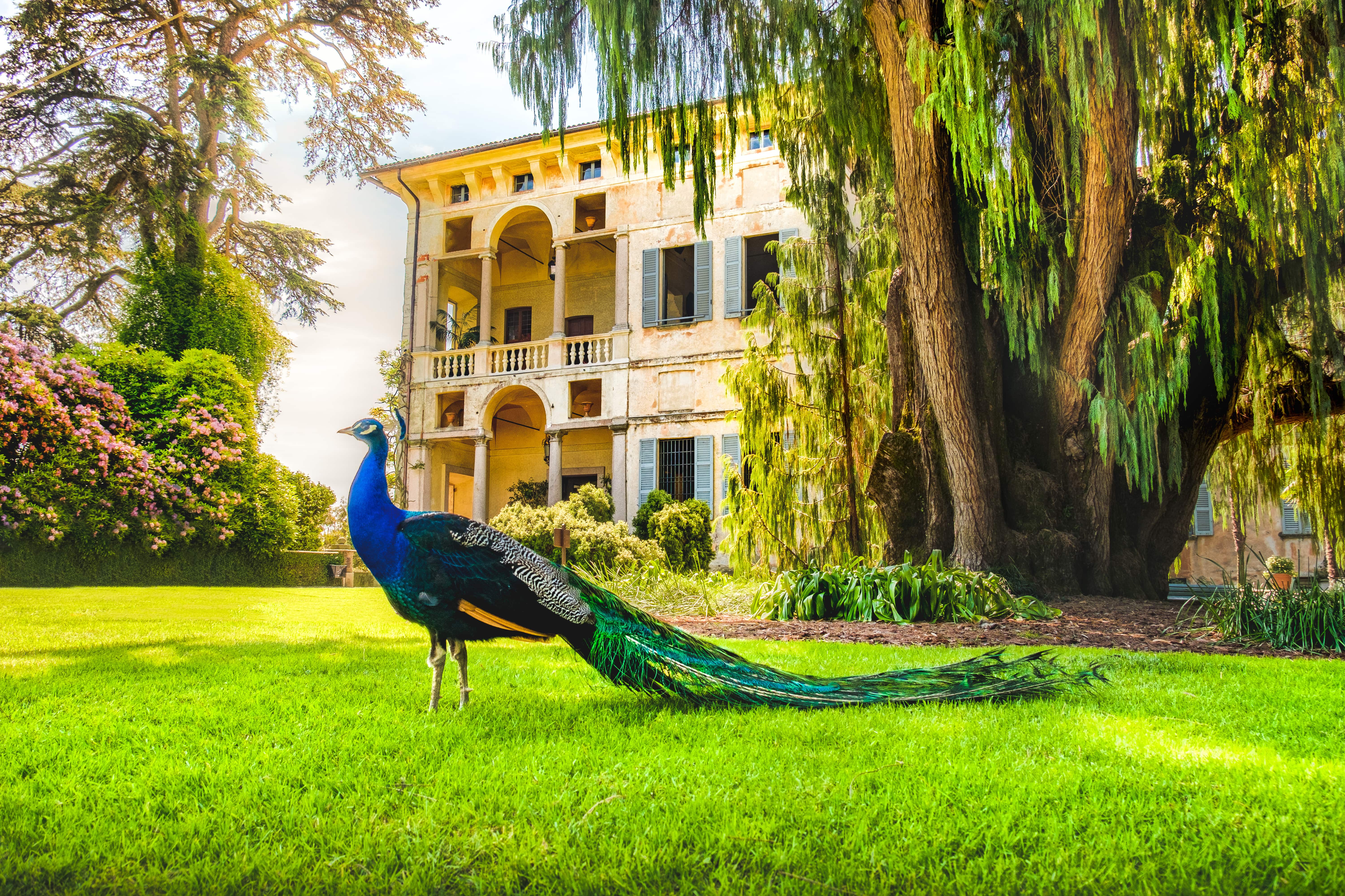 In queste 3 isole trovi palazzi barocchi e giardini d'autore vista lago: sono un inestimabile tesoro d'Italia