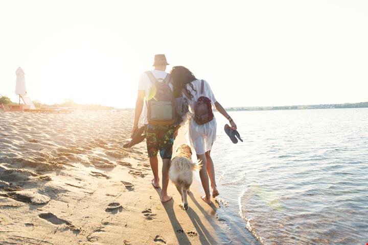 iStock-1004213710