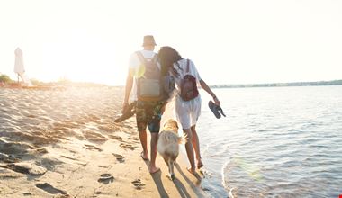 Spiagge Per Cani Veneto