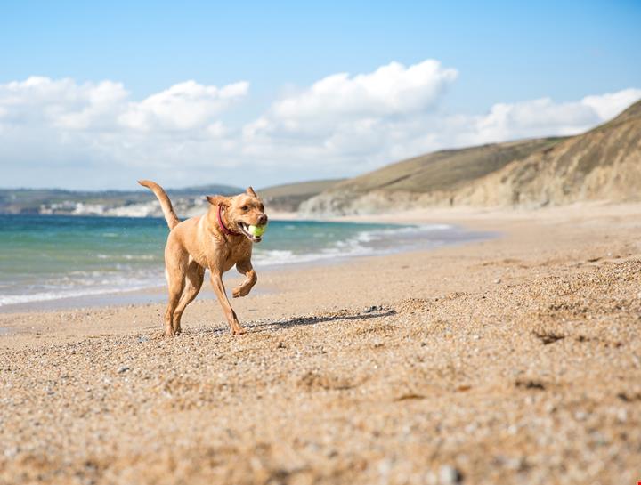 iStock-1037002970