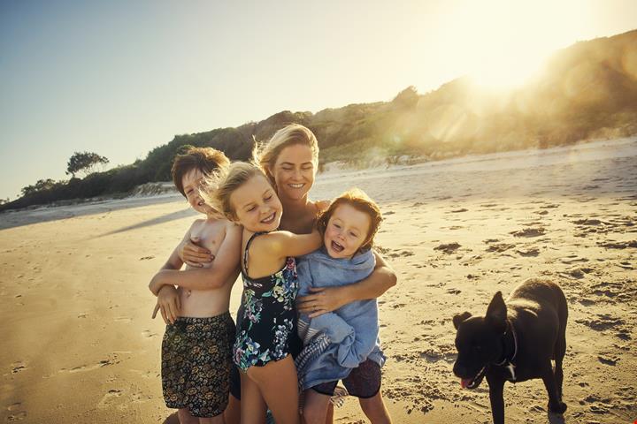 iStock-904175170