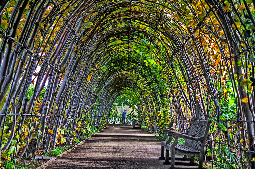 Kensington Gardens Londra_1203626917