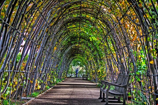 Kensington Gardens Londra_1203626917 Kensington Gardens Londra_1203626917  