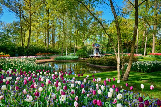 Keukenhof_1255109788 Keukenhof_1255109788  