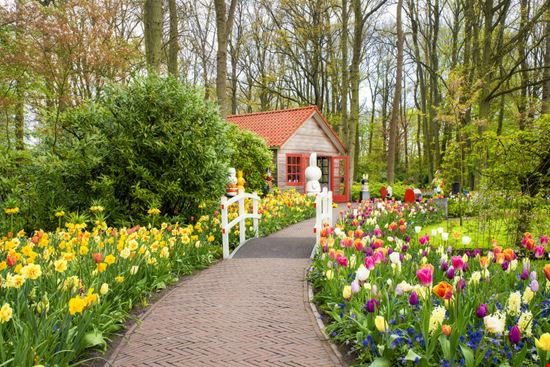 Keukenhof_421837801 Keukenhof_421837801  