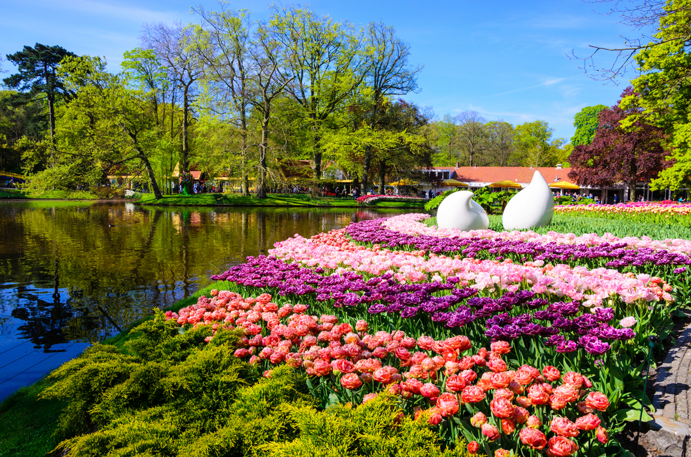 Keukenhof_428218468