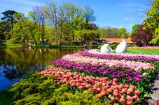 Keukenhof_428218468