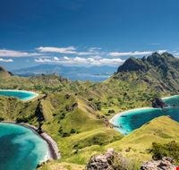 Komodo Komodo