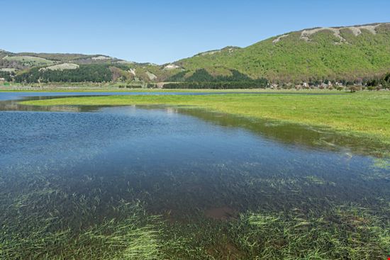 lago laceno_1078376666 lago laceno_1078376666  