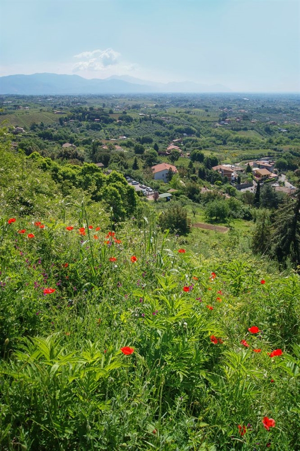 lanuvio_campagna