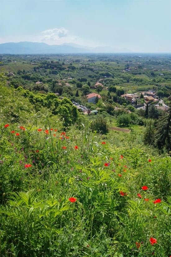 lanuvio_campagna lanuvio_campagna  