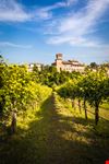 Levizzano_Rangone_1116043742