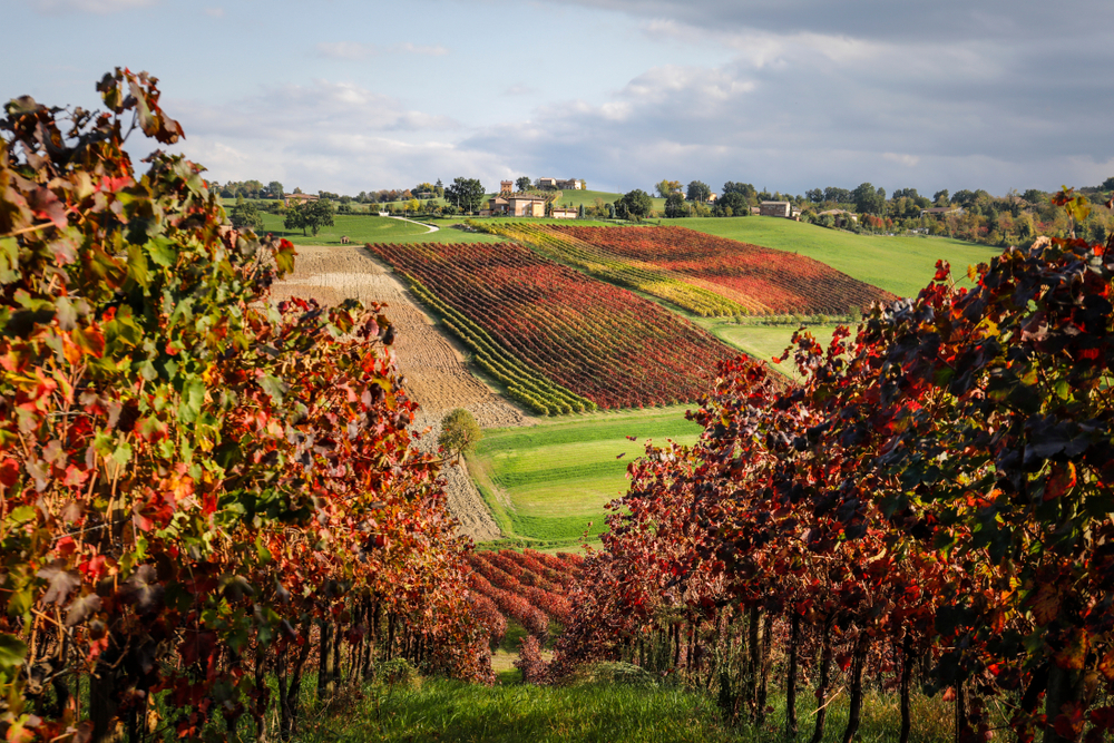 Levizzano_Rangone_1546234346