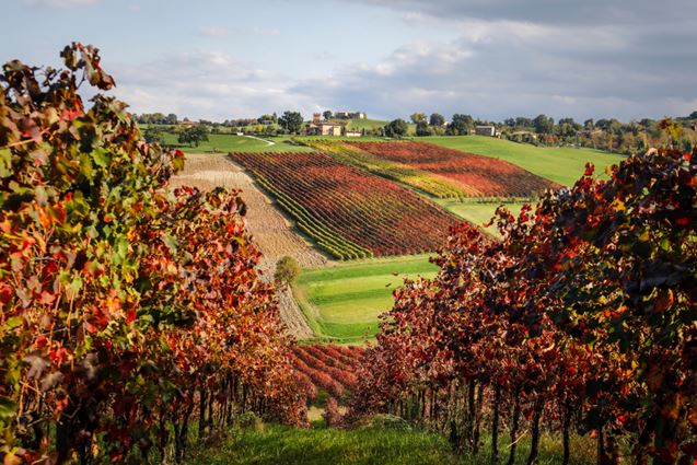 Levizzano_Rangone