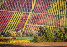 Levizzano_Rangone_345547469
