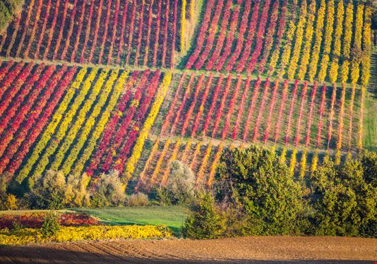 Levizzano_Rangone_345547469 Levizzano_Rangone_345547469  