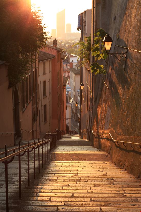 Old Lyon Lyon  
