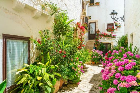 Locorotondo_primavera Locorotondo_primavera  
