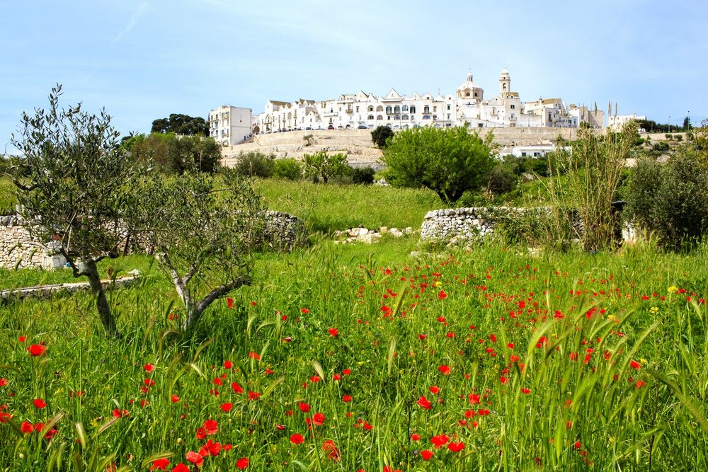 Locorotondo_view