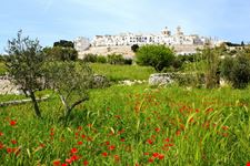 Locorotondo_view