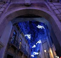 luminarie natalizie 2021_1112488475 luminarie natalizie 2021_1112488475