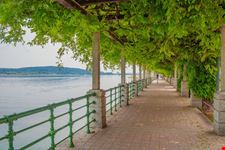 Lungolago_Arona