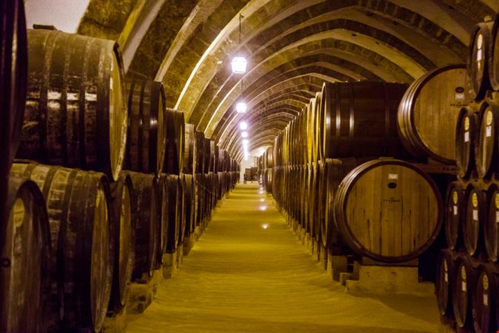 Marsala Cantine Florio_1013358154
