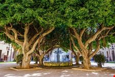 Marsala_centro