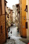 massa_marittima_26379033-min.jpeg